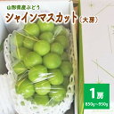 【ふるさと納税】 ぶどう シャインマスカット 大房 1房 (850g〜950g) 秀品 以上 化粧箱詰め 果物 フルーツ お取り寄せ 産地直送 送料無料 山形県 上山市 0025-2506(4)