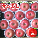 【ふるさと納税】 りんご ( サンふじ ) 5kg フルーツ 果物 リンゴ 山形 産地直送 送料無料 お取り寄せ 山形県 上山市 0030-2514
