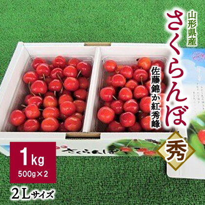 さくらんぼ 佐藤錦 か 紅秀峰 1kg 秀品 2Lサイズ （ 500g × 2パック ） フルーツ 果物 お取り寄せグルメ 冷蔵配送 山形県 上山市 0032-2402