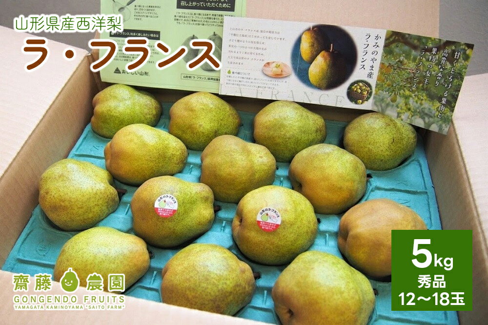 【ふるさと納税】 西洋梨 ( ラ・フランス ) 5kg 秀品 果物 フルーツ 洋なし 産地直送 山形 お取り寄せ 送料無料 山形県 上山市 0037-2407