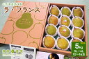 【ふるさと納税】 西洋梨 ( ラ・フランス ) 5kg 特秀品 化粧箱詰め 果物 フルーツ 洋なし 産地直送 山形 お取り寄せ 送料無料 山形県 上山市 003...