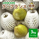 【ふるさと納税】 西洋梨 ( ラ・フランス ) 3kg 贈答用 山形県 上山市 0041-2503