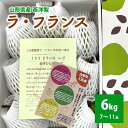 【ふるさと納税】 西洋梨 ラ・フランス 6kg ( 3kg × 2箱 ) ご家庭用 1箱あたり 7〜11玉 山形県 上山市 0041-2505