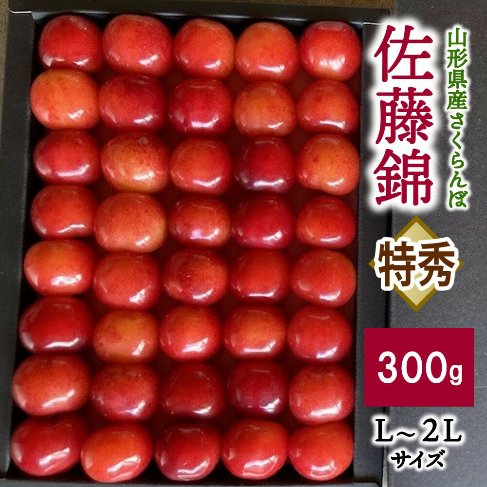 さくらんぼ 佐藤錦 300g お化粧詰め 特秀品 化粧箱入 農家直送 フルーツ 果物 お取り寄せグルメ 冷蔵配送 贈答 ギフト プレゼント 東北 山形県 上山市