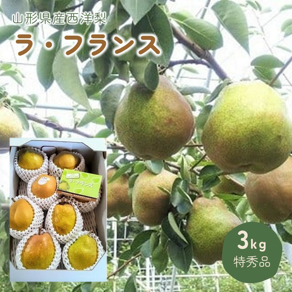 西洋梨 (ラ・フランス) 3kg 特秀品 山形県 上山市 0044-2407