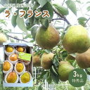 ラ・フランス 【ふるさと納税】 西洋梨 (ラ・フランス) 3kg 特秀品 山形県 上山市 0044-2407