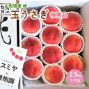 【ふるさと納税】桃(玉うさぎ)2.5kg 7〜12玉 特秀品 化粧箱入り ギフト 贈答用 プレゼント 白桃 もも フルーツ 果物 お取り寄せ 東北 山形県 上山...
