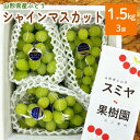 【ふるさと納税】ぶどう (シャインマスカット) 1.5kg (房小さめ) 規格外 果物 フルーツ 種なし お取り寄せ 産地直送 送料無料 山形県 上山市 0047-2509