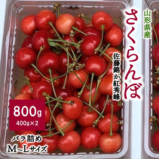 【ふるさと納税】さくらんぼ(佐藤錦か紅秀峰)400g×2パック ご家庭用 フルーツ 山形県 上山市 0049-2505 【ふるさと納税】さくらんぼ(佐藤錦か紅秀峰)400g×2パック ご家庭用 フルーツ 山形県 上山市 0049-2505