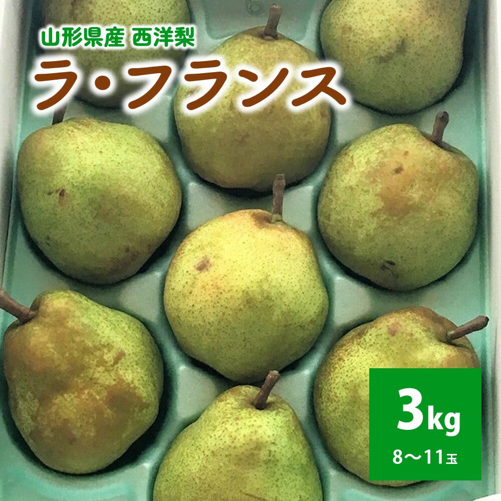 【ふるさと納税】西洋梨(ラ・フランス)3kg 8〜11玉 ご家庭用 フルーツ 山形県 上山市 0049-2512
