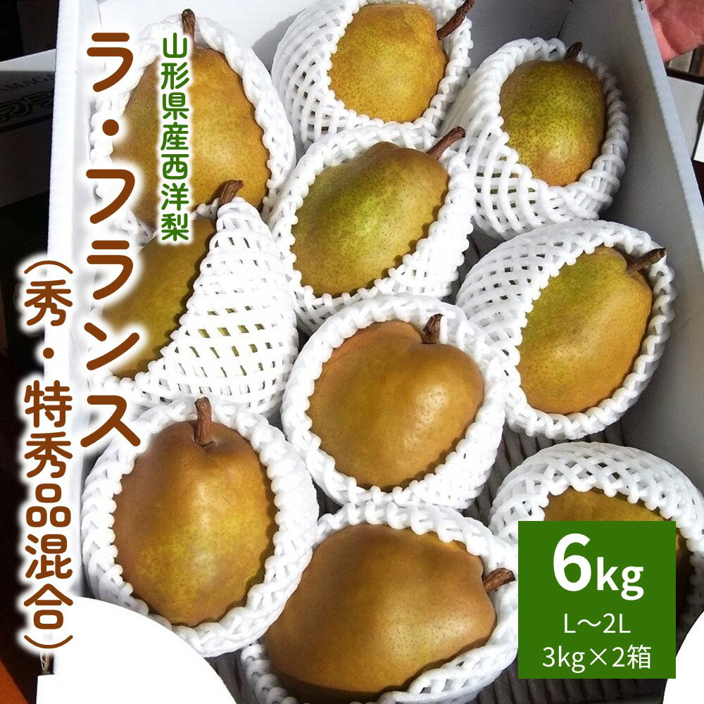 西洋梨 ( ラ・フランス ) 6kg ( 3kg × 2箱 ) 果物 フルーツ 洋梨 お取り寄せ 産地直送 送料無料 山形県 上山市 0050-2401