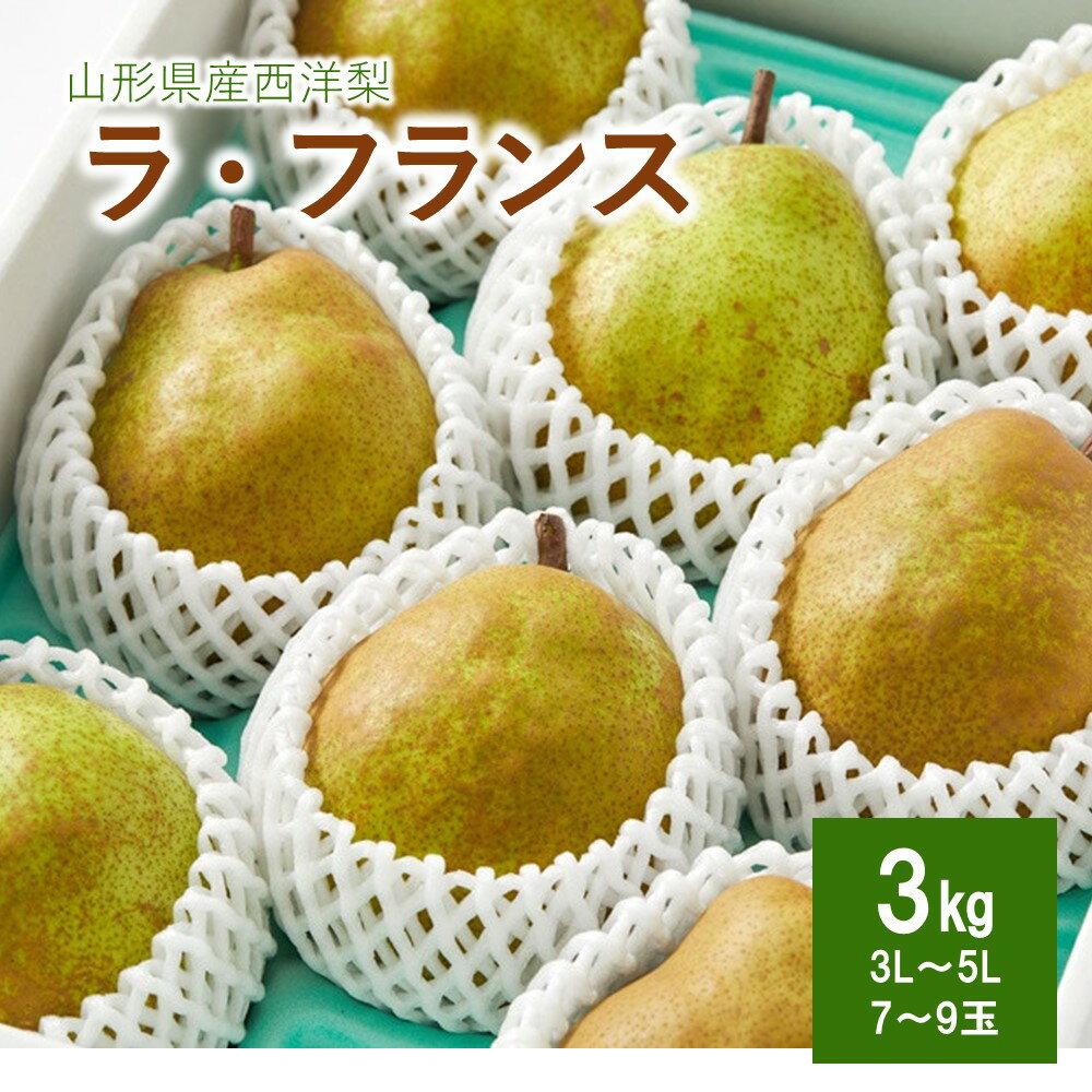 【ふるさと納税】 西洋梨（ ラ・フランス ） 3kg 秀品 