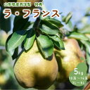 【ふるさと納税】西洋梨 ( ラ・フランス ) 5kg 特秀品 フルーツ 果物 洋なし 山形 産地直送 送料無料 お取り寄せ 山形県 上山市 0055-2517