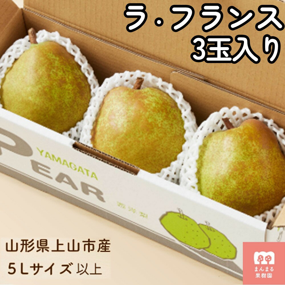 【ふるさと納税】西洋梨（ ラ・フランス ）3玉 大玉 特秀品 5L サイズ お試し フルーツ 果物 