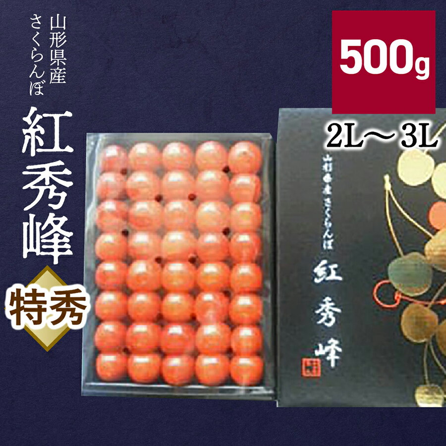 さくらんぼ 紅秀峰 500g 特秀品 2L〜3Lサイズ 化粧箱入 ギフト 贈り物 贈答品 フルーツ 果物お取り寄せグルメ 冷蔵配送 山形県