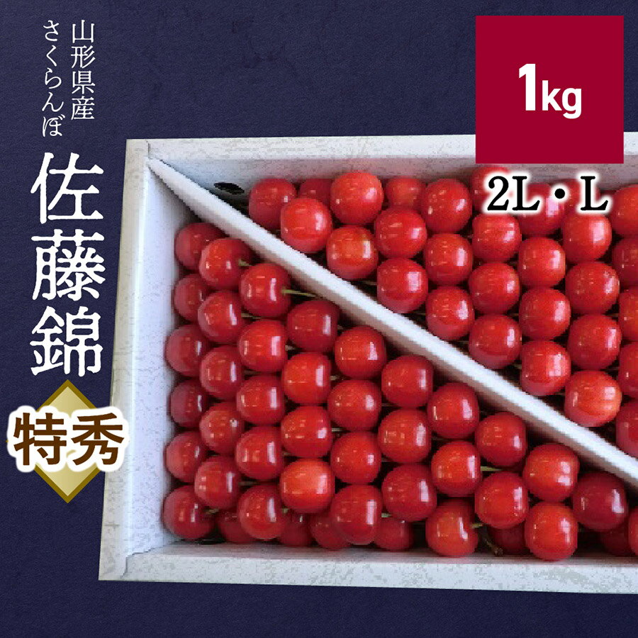 【ふるさと納税】さくらんぼ 佐藤錦 1kg 詰め 特秀品 L