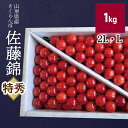 【ふるさと納税】さくらんぼ 佐藤錦 1kg 詰め 特秀品 L 〜 2L サイズ 高級 ギフト 贈り物 贈答品 フルーツ 果物 お取り寄せグルメ 冷蔵配送 山形県...