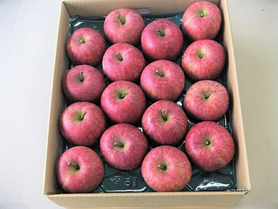 【ふるさと納税】りんご（サンふじ） 5kg 13〜18玉 0056-2224