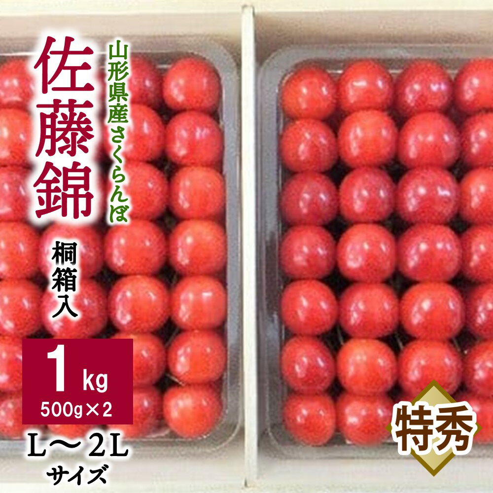 さくらんぼ( 佐藤錦 )1kg( 500g × 2パック )桐箱入 L 〜 2Lサイズ 特秀品 フルーツ 果物 贈答品 ギフト プレゼント 東北 山形県 上山市