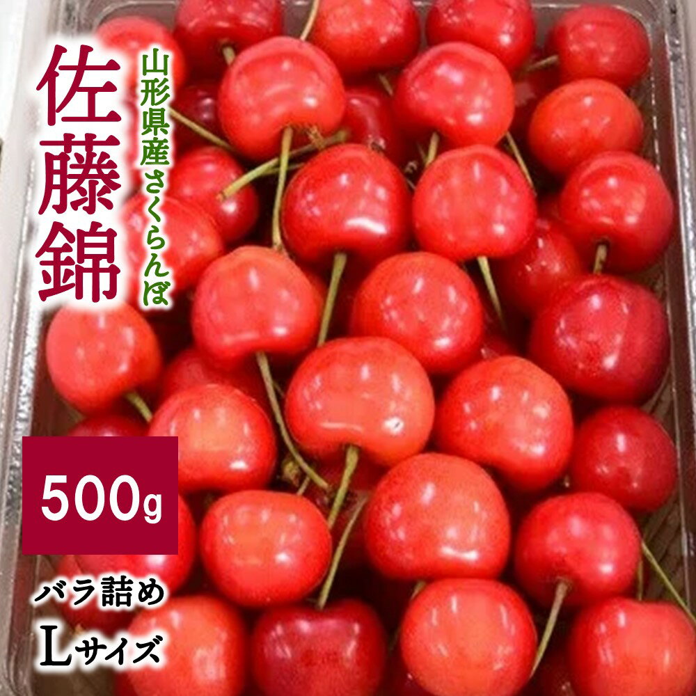 さくらんぼ ( 佐藤錦 ) 500g バラ詰め Lサイズ フルーツ 果物 送料無料 山形県 上山市