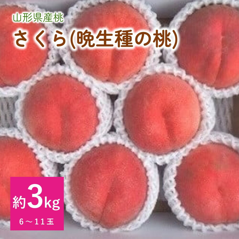 【ふるさと納税】 桃 ( さくら ) 6~11玉【 3kg 箱に2.7~3.3kg詰め】秀品 白桃 もも 果物 フルーツ 東北 山形県 上山市 0056-2419