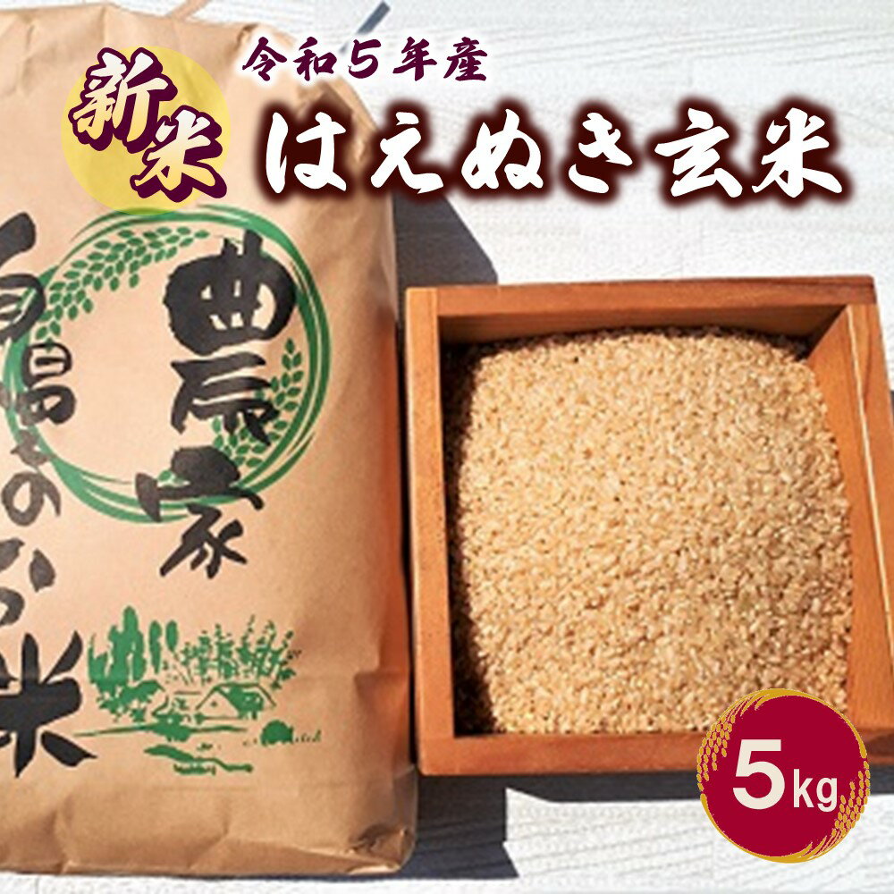 【ふるさと納税】【令和5年産 10月~発送】 はえぬき ( 玄米 ) 5kg 新米 5キロ 米 コメ お米 ブランド米 ごはん ご飯 栄養 ビタミン ミネラル 食物繊維 お取り寄せ 国産 山形県 上山市 0056-2328のサムネイル