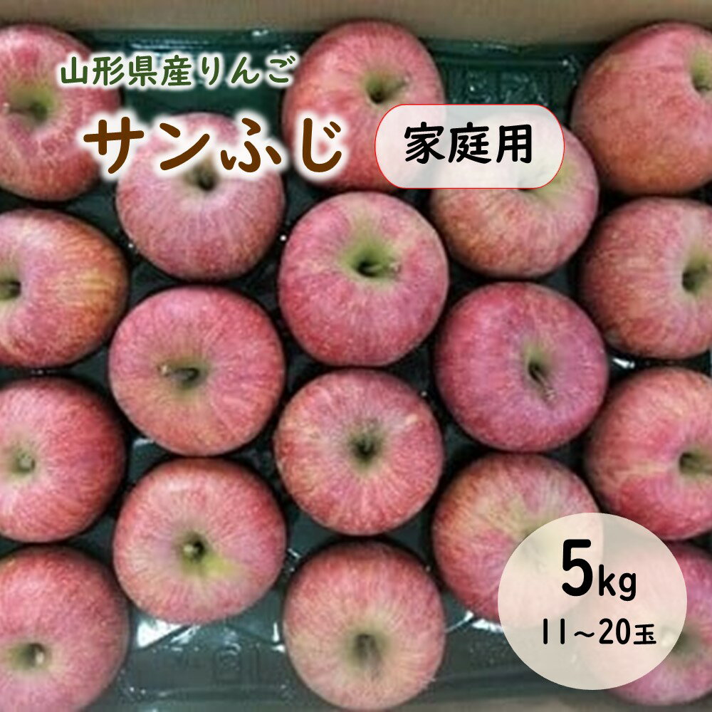 【ふるさと納税】 りんご ( サンふじ ) 5kg 11~2