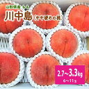【ふるさと納税】 桃( 川中島 )6~11玉【 3kg 箱に2.7~3.3kg詰め】秀品 化粧箱入 果物 フルーツ デザート お取り寄せ 贈答 贈り物 プレゼン...