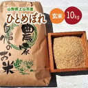 【ふるさと納税】【2025年9月下旬~発送】令和7年産 ひとめぼれ(玄米)10kg 山形県 上山市 0056-2526