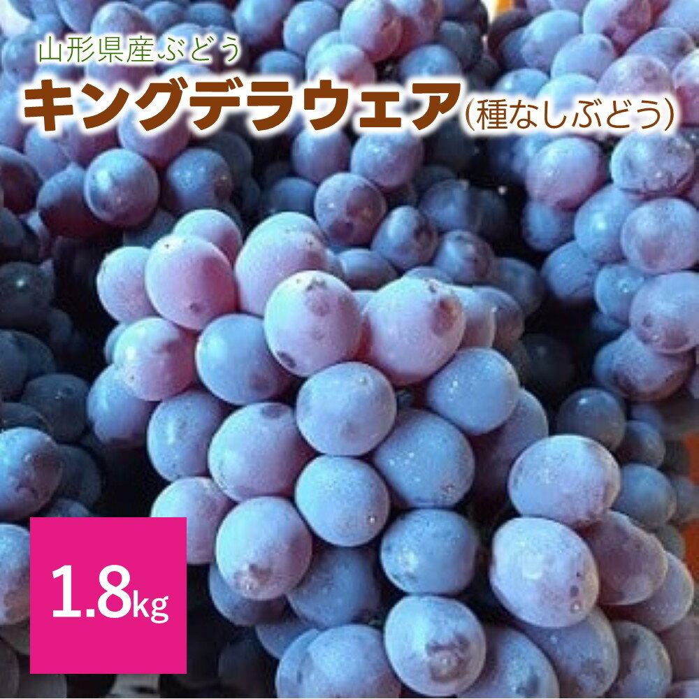 松田農園 の キングデラウェア( 種なし ぶどう )1.8kg 果物 フルーツ お取り寄せ 産地直送 送料無料 山形県 上山市