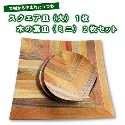 【 果樹から生まれた くだもの うつわ 】 スクエア皿 (大) 1枚 木の葉皿 ミニ 2枚 セット 山形県 上山市 0058-2202