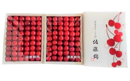 【ふるさと納税】 早旬 さくらんぼ ( 佐藤錦 ) 600g 手詰め 化粧箱入り 贈答 フルーツ くだもの 東北 山形県 上山市 0060-2401