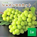 【ふるさと納税】 ぶどう ( シャインマスカット ) 1房 種なし ブドウ 葡萄 フルーツ くだもの 果物 産地直送 お取り寄せ 東北 山形県 上山市 0060-2514