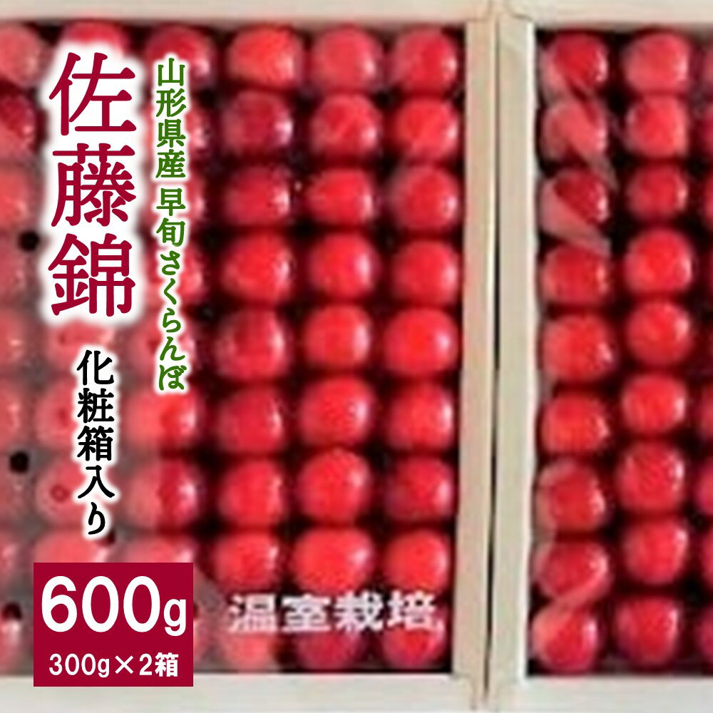 【ふるさと納税】 早旬 さくらんぼ ( 佐藤錦 ) 600g 手詰め 化粧箱入り 贈答 フルーツ くだもの 東北 山形県 上山市 0060-2401