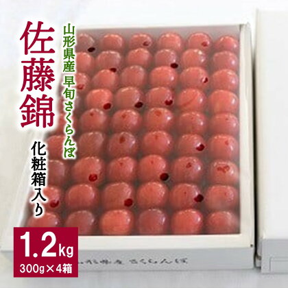 早旬さくらんぼ(佐藤錦) 1.2kg 手詰め 化粧箱入り 贈答 フルーツ 果物 東北 山形県 上山市 0060-2402