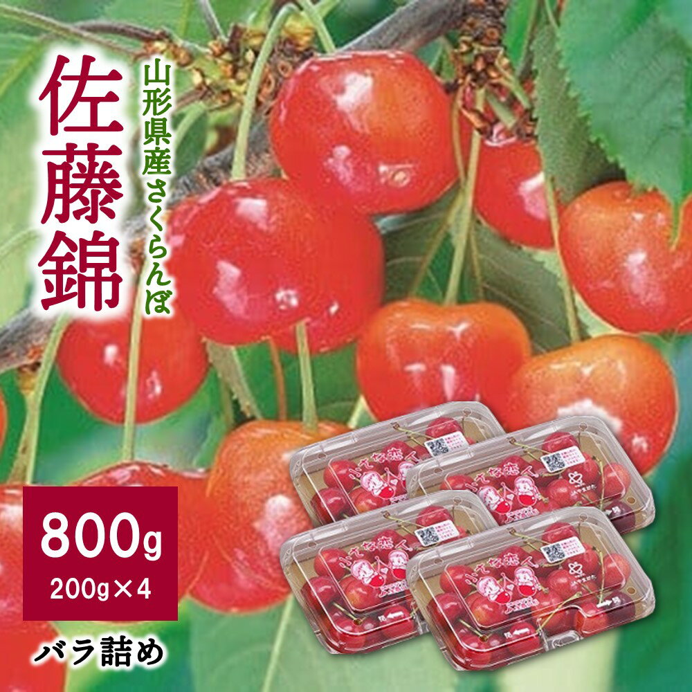 【ふるさと納税】さくらんぼ 佐藤錦 800g （ 200g × 4パック ） バラ詰め フルーツ 果物 小分け お取り寄せグルメ 冷蔵配送 山形県 上山市 0060-2404