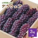 45位! 口コミ数「0件」評価「0」ぶどう ( デラウェア ) 2kg 果物 フルーツ 東北 山形県 上山市 0060-2408