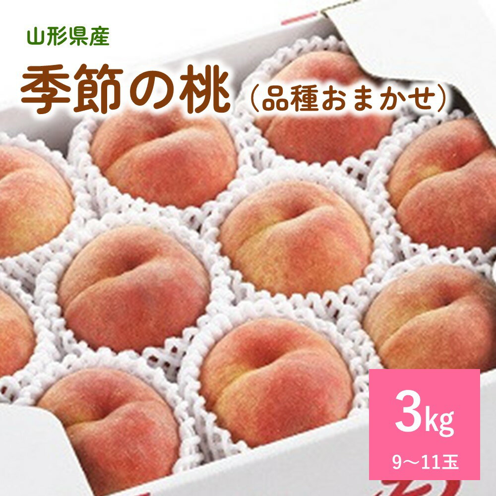 【ふるさと納税】季節の桃 ( 品種おまかせ) 3kg 果物 