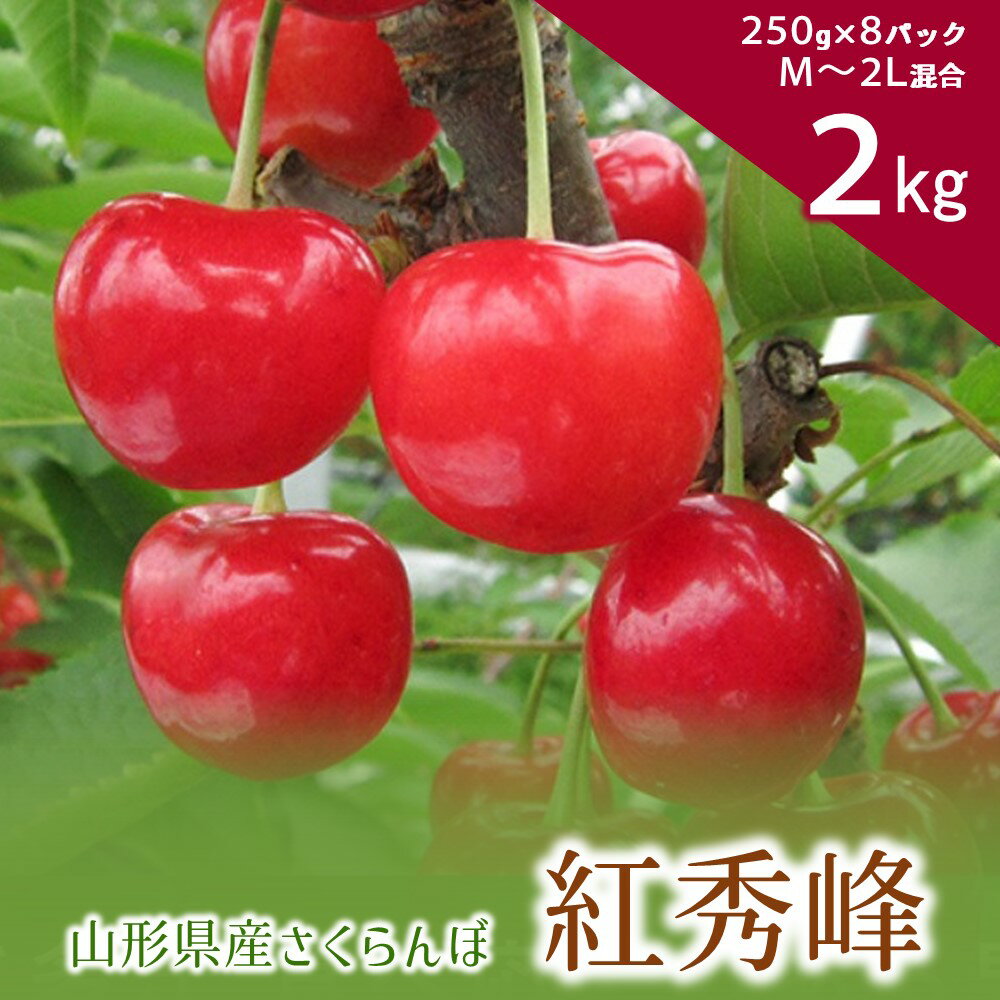 【ふるさと納税】さくらんぼ ( 紅秀峰 ) 計 2kg （ 1k