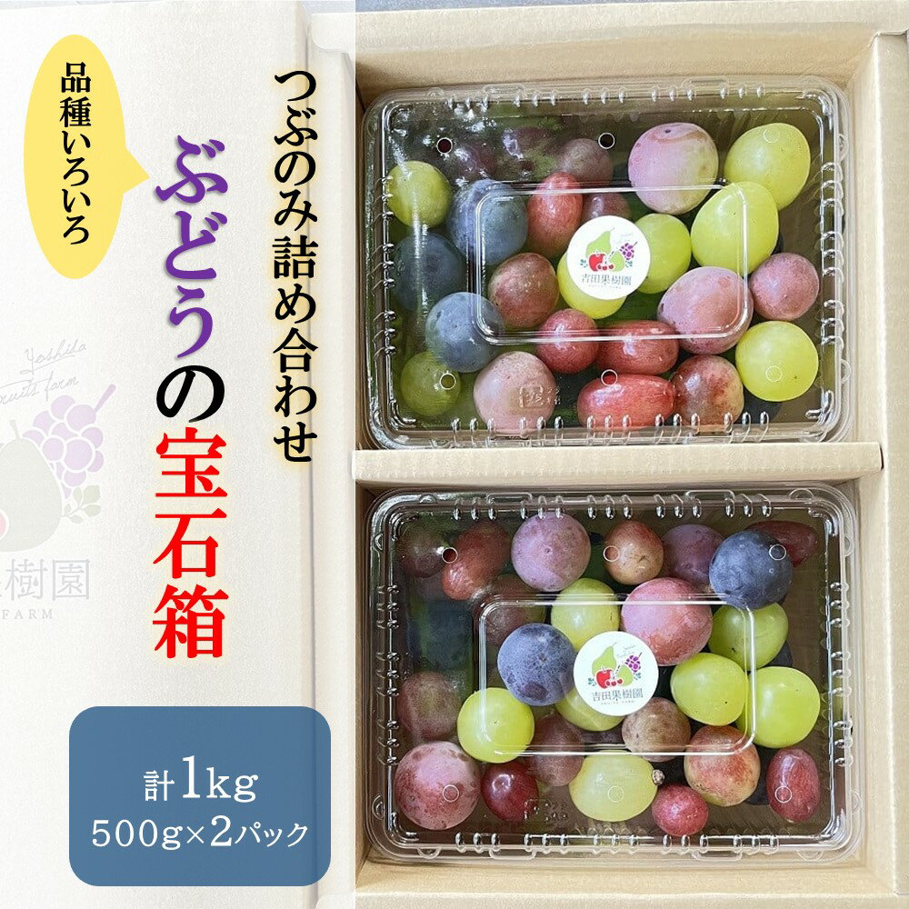 ぶどう の 宝石箱 ( 品種 いろいろ、粒のみ 詰合せ ) 500g × 2パック 果物 フルーツ 産地直送 送料無料 山形県 上山市