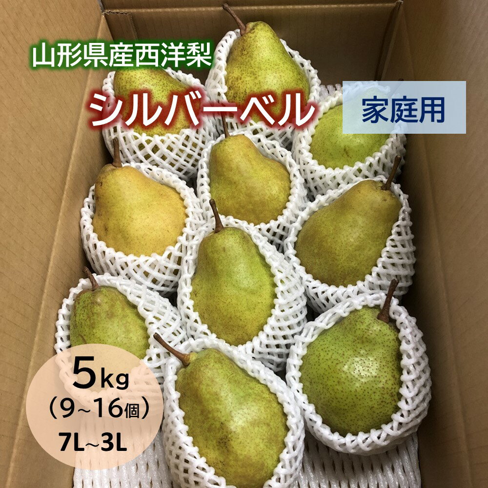 【ふるさと納税】西洋梨（シルバーベル） 5kg ご家庭用 9～16個 7L～3L サイズ 果物 フルーツ 洋梨 なし 山形県 上山市 0065-2409 1