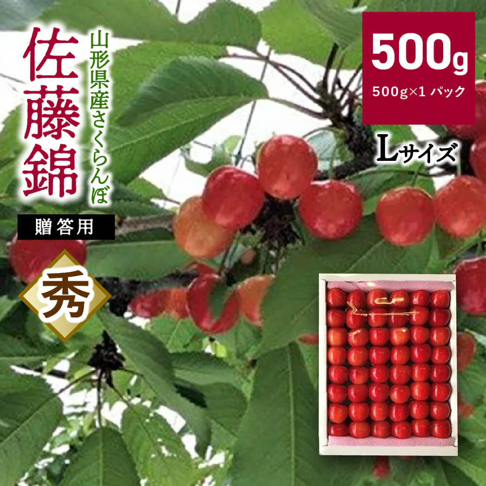 【ふるさと納税】さくらんぼ（ 佐藤錦 ）500g 手詰め Lサイズ 秀品 贈答用 化粧箱入り フルーツ 果物 お取り寄せグルメ 送料無料 山形県 上山市 0069-2401