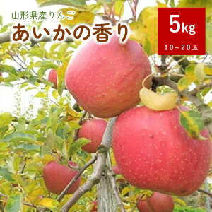 【ふるさと納税】りんご（あいかの香り） 5kg ご家庭用 0075-2212