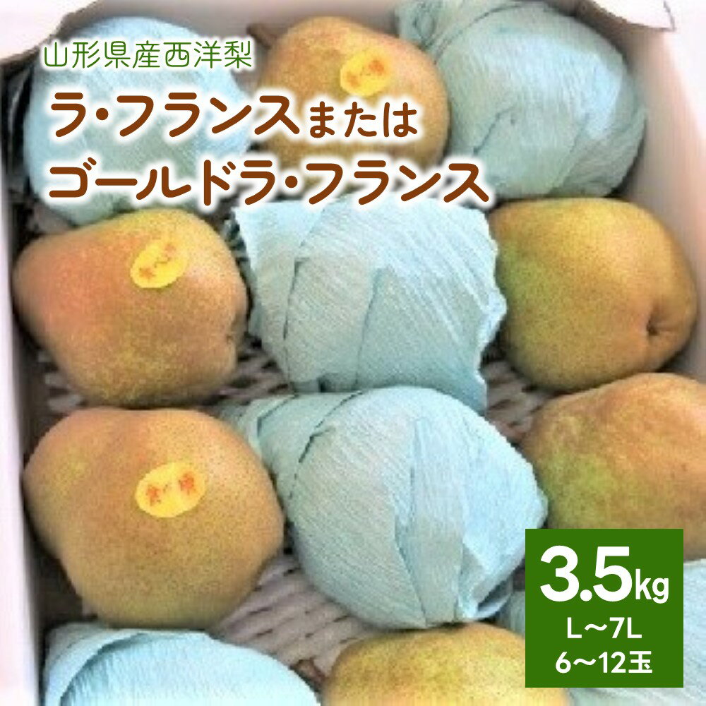 【ふるさと納税】 西洋梨 ラ・フランス または ゴールドラ・フランス 3.5kg ご家庭用 6～12玉 7L～L サイズ 果物 フルーツ 洋なし 産地直送 山形 お取り寄せ 送料無料 山形県 上山市 0075-2407