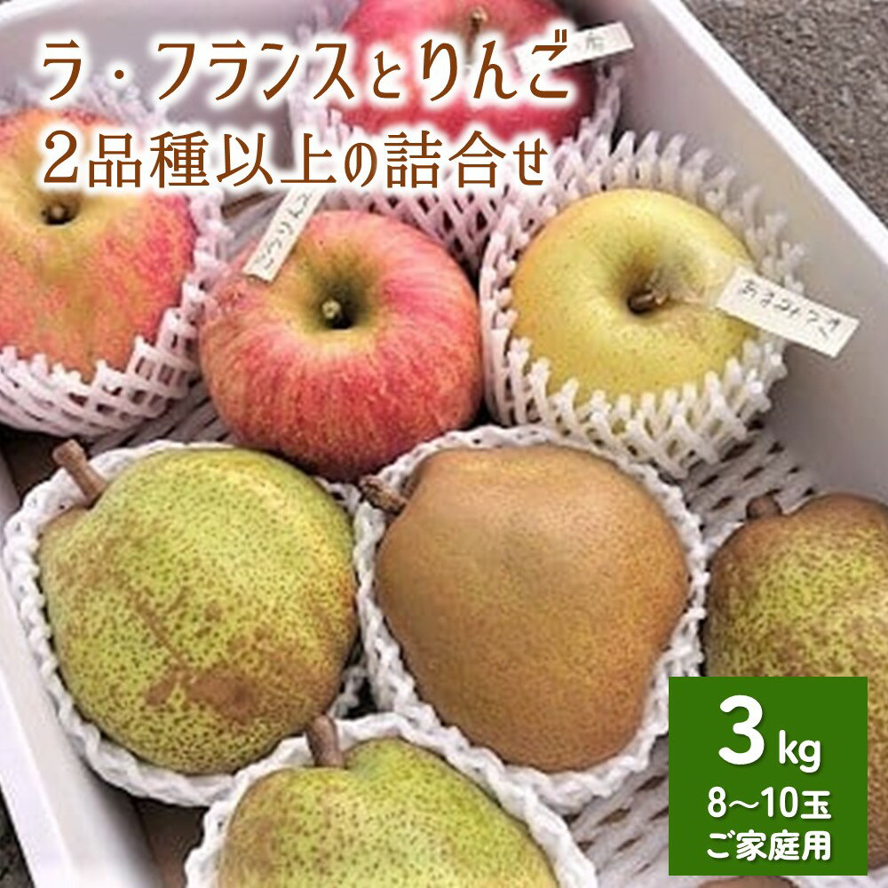 福島県産 豊水梨 梨 22玉入り 家庭用 エリア限定品 食べきりに丁度良いサイズ