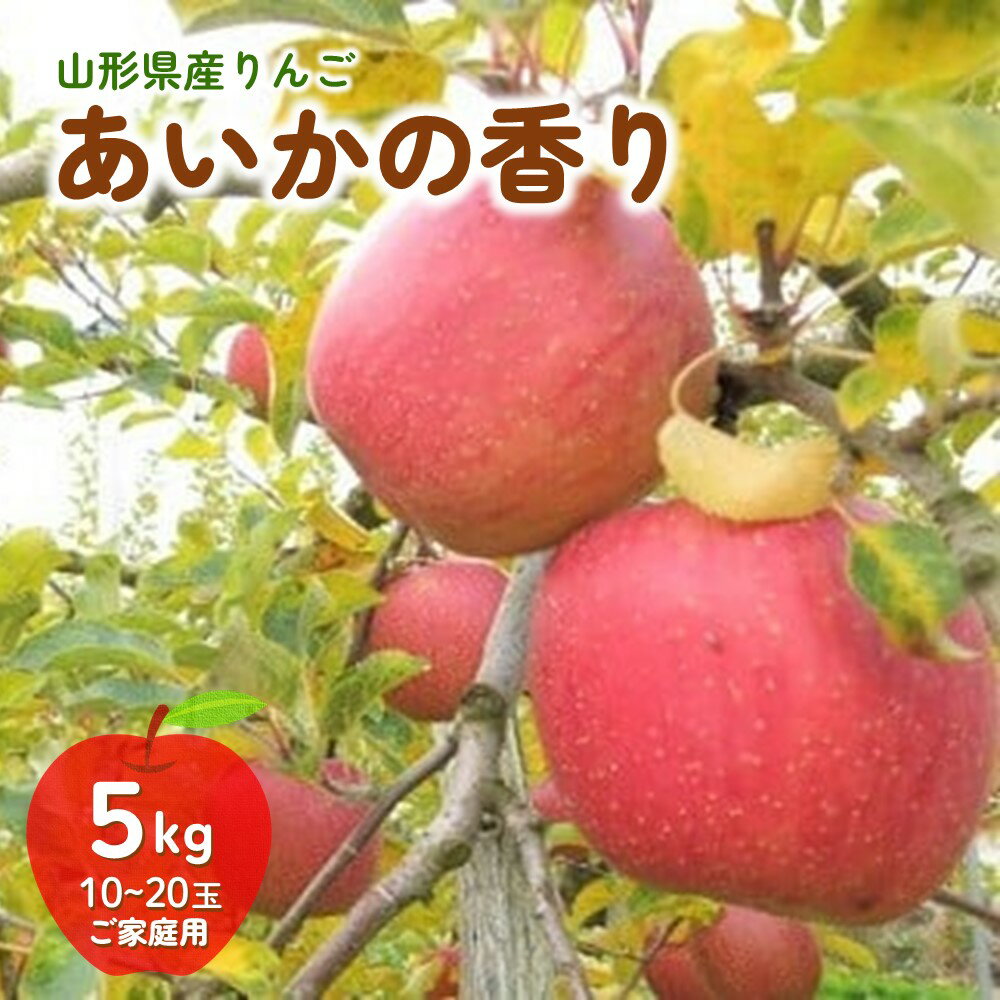 りんご (あいかの香り) 5kg ご家庭用 10〜20玉 果物 フルーツ 産地直送 山形 お取り寄せ 送料無料 山形県 上山市