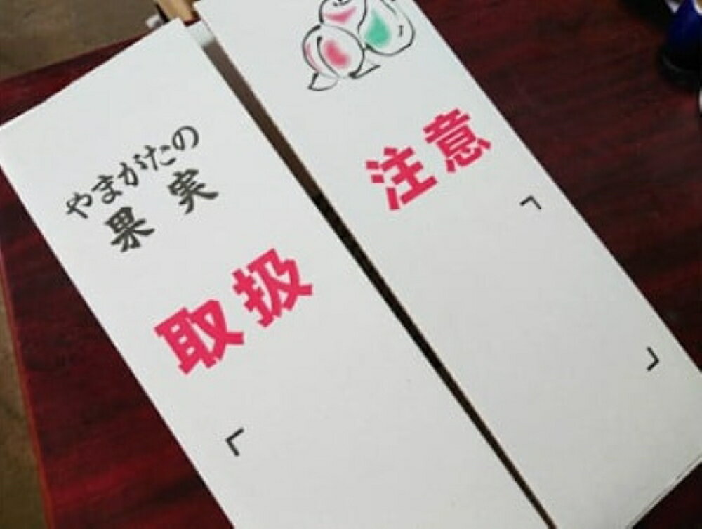 【ふるさと納税】【2026年1月から発送】りんご ( 葉とらず サンふじ ) 3kg ご家庭用 6～15玉 果物 フルーツ 産地直送 山形 お取り寄せ 送料無料 山形県 上山市 0075-2514