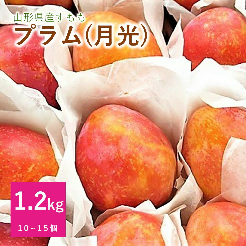 【ふるさと納税】 プラム ( 月光 ) 1.2kg ご家庭用 10～15個 果物 フルーツ すもも 産地直送 山形 お取り寄せ 送料無料 山形県 上山市 0075-2404