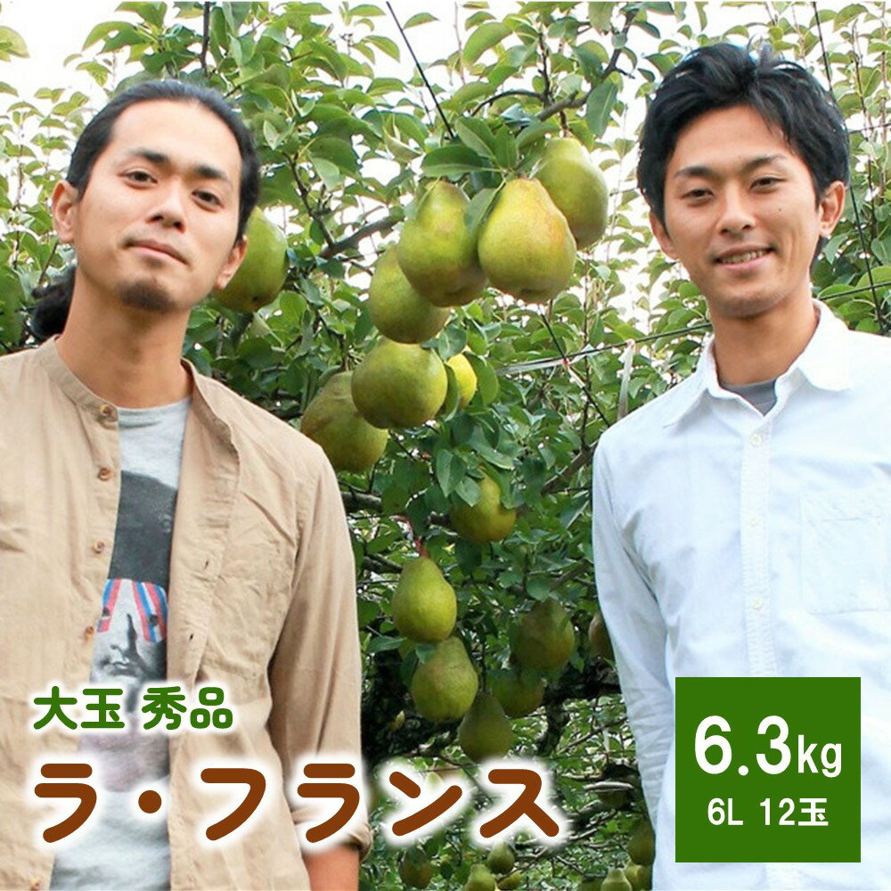 【ふるさと納税】【山形セレクション認定品】 ラ・フランス 大玉 6L 6.3kg 秀品 果物 フルーツ 洋なし 西洋梨 お取り寄せ 山形 産地直送 送料無料 山形県 上山市 0078-2407