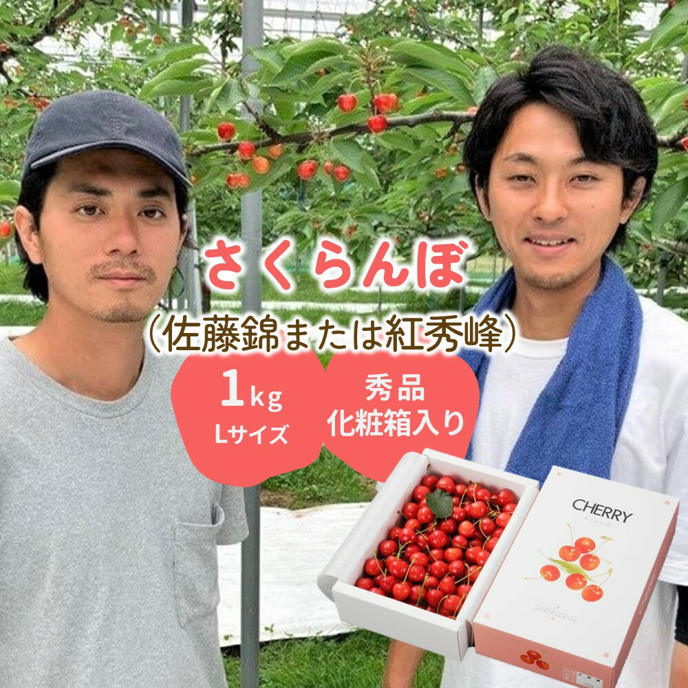 さくらんぼ( 佐藤錦 または 紅秀峰 )1kg 秀品 Lサイズ フルーツ 果物 くだもの 山形 産地直送 お取り寄せグルメ 冷蔵配送 送料無料 山形県 上山市